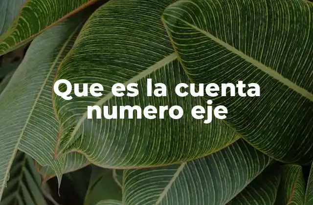El papel de la cuenta número eje en la gestión financiera empresarial