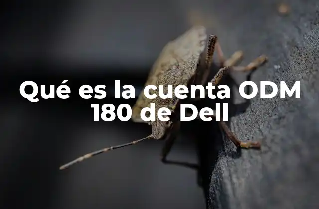 Qué es la Cuenta Odm 180 de Dell