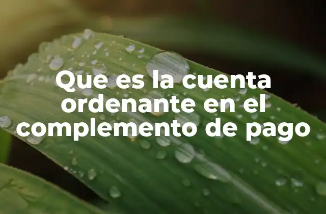 Que es la Cuenta Ordenante en el Complemento de Pago