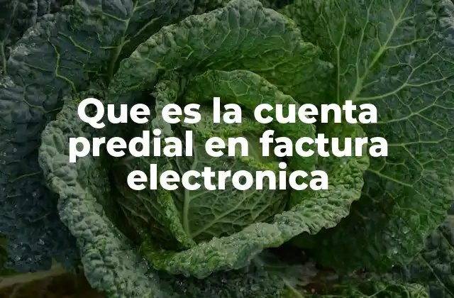Que es la Cuenta Predial en Factura Electronica