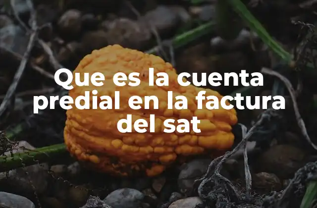 Que es la Cuenta Predial en la Factura Del Sat