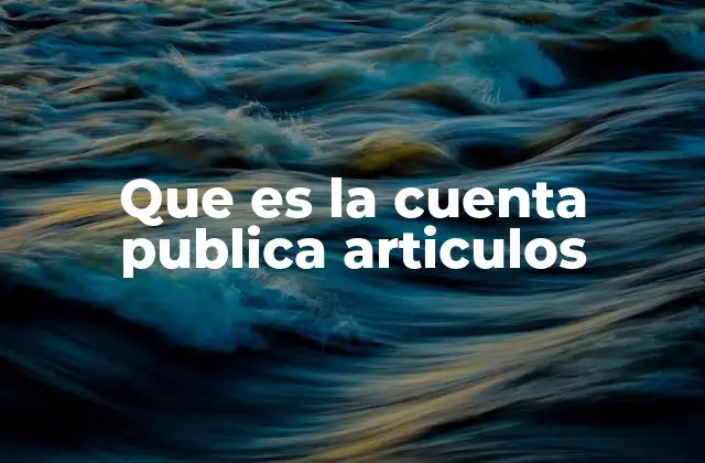 Que es la Cuenta Publica Articulos