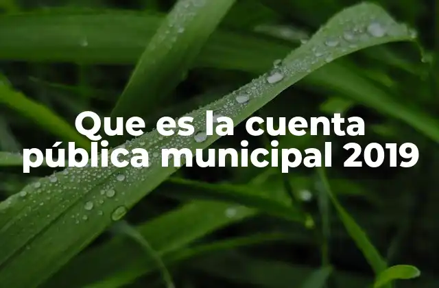 Que es la Cuenta Pública Municipal 2019