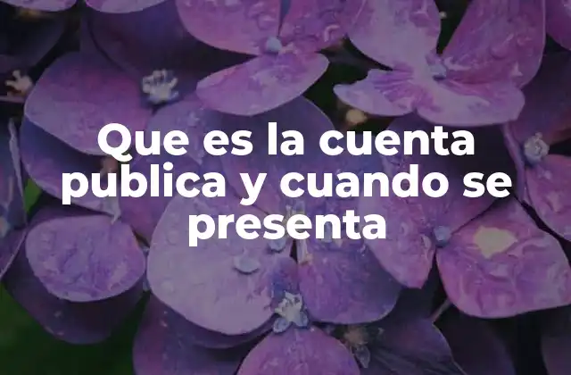 Que es la Cuenta Publica y Cuando Se Presenta 2 La importancia de la rendición de cuentas en la administración pública