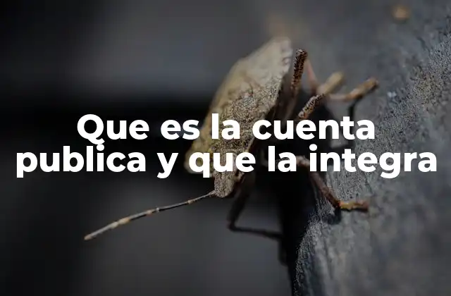 Que es la Cuenta Publica y que la Integra