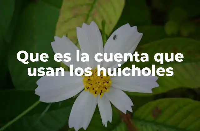Que es la Cuenta que Usan los Huicholes