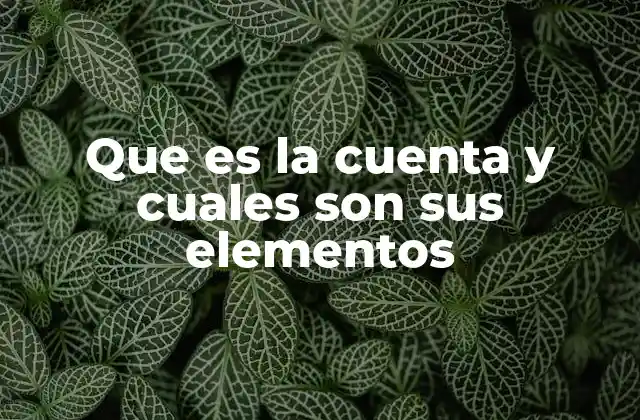 Que es la Cuenta y Cuales Son Sus Elementos