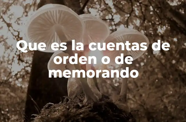 Que es la Cuentas de Orden o de Memorando