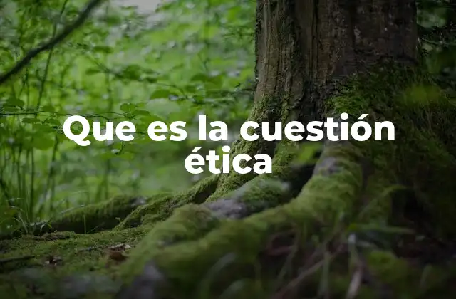 Que es la Cuestión Ética