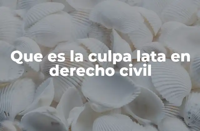 Que es la Culpa Lata en Derecho Civil