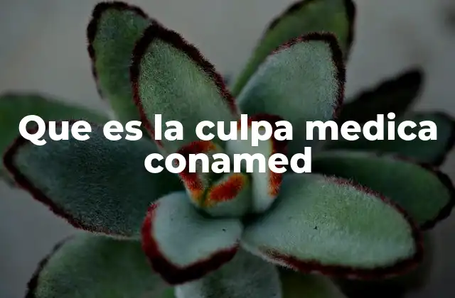 Que es la Culpa Medica Conamed 2 La responsabilidad médica y su relación con la ética profesional