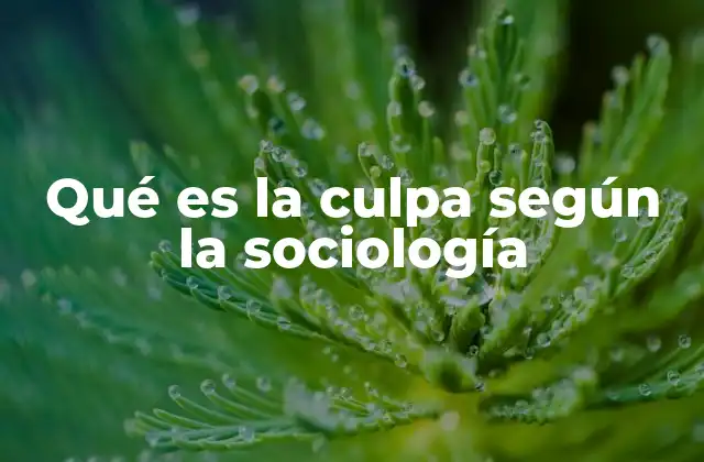 Qué es la Culpa según la Sociología