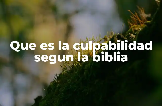 Que es la Culpabilidad Segun la Biblia
