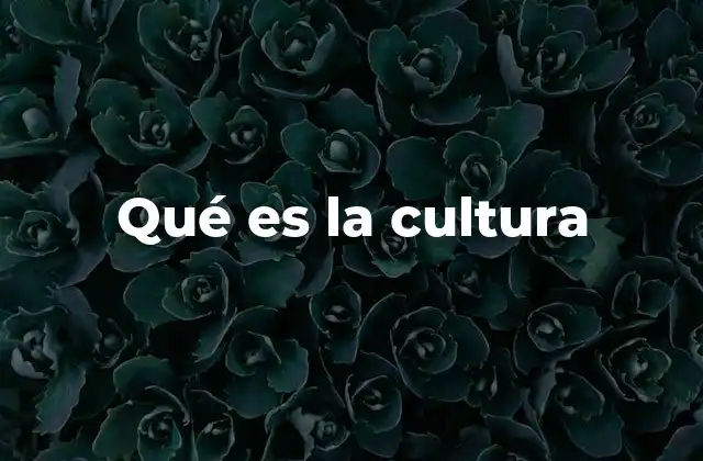 Qué es la Cultura