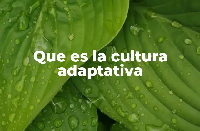 Que es la Cultura Adaptativa