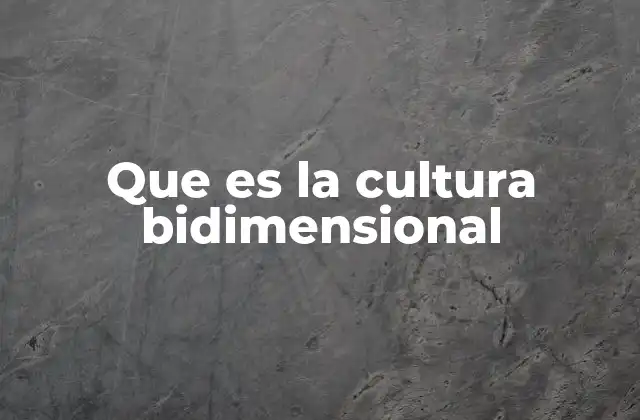 Que es la Cultura Bidimensional