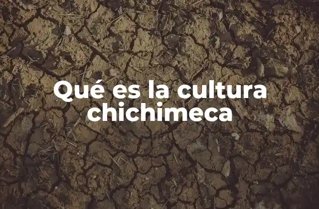 Qué es la Cultura Chichimeca