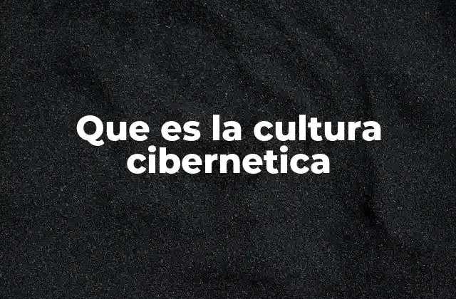 Que es la Cultura Cibernetica