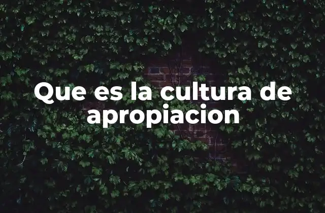 Que es la Cultura de Apropiacion