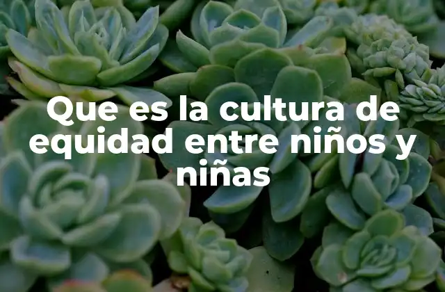 Que es la Cultura de Equidad entre Niños y Niñas