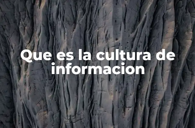 Que es la Cultura de Informacion