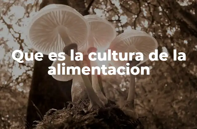 Que es la Cultura de la Alimentacion