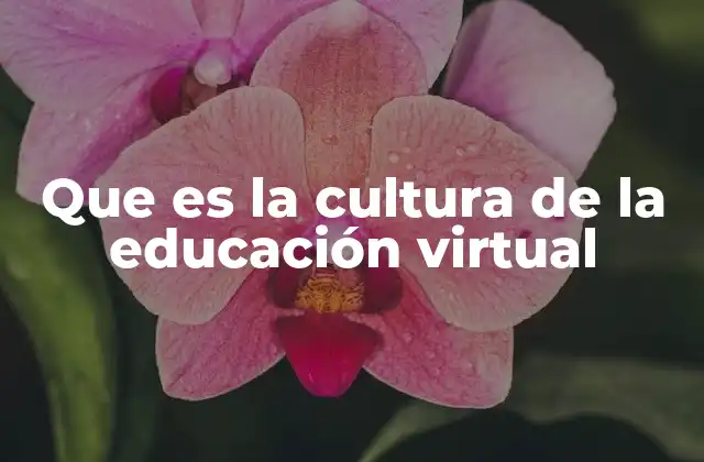 Que es la Cultura de la Educación Virtual