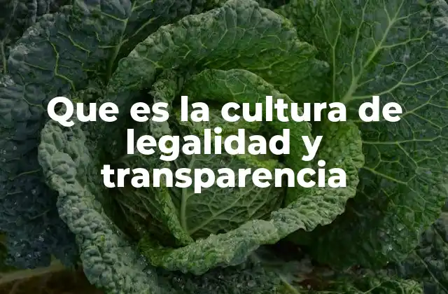Que es la Cultura de Legalidad y Transparencia