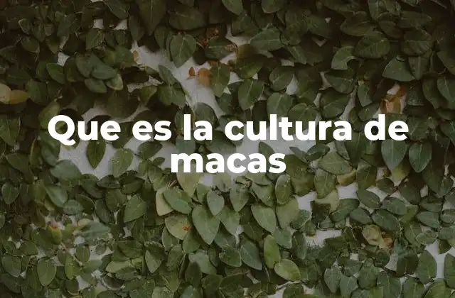 El rol de la maca en la economía y sociedad andina