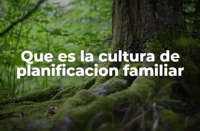 Que es la Cultura de Planificacion Familiar