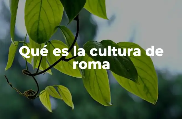 Qué es la Cultura de Roma