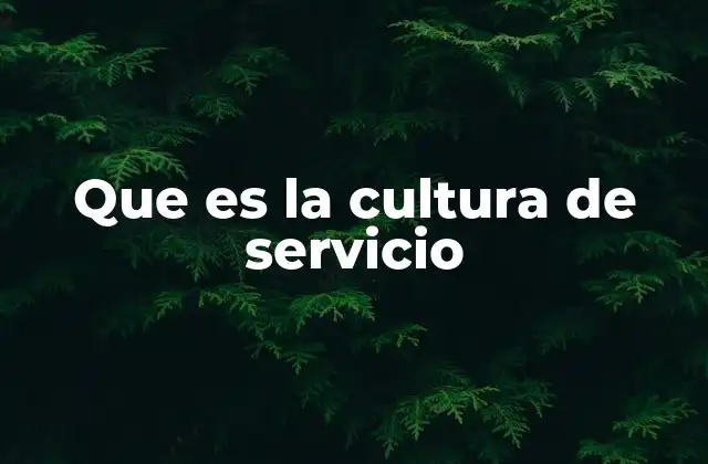 Que es la Cultura de Servicio