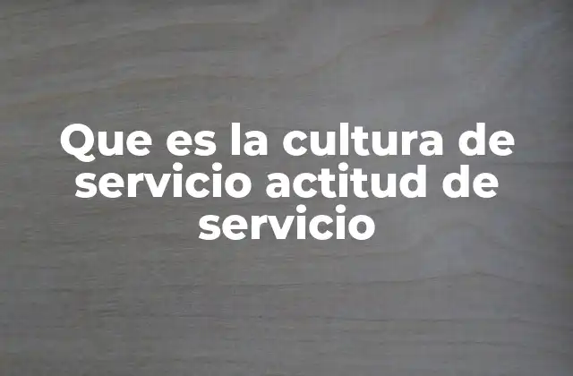 Que es la Cultura de Servicio Actitud de Servicio 2 La importancia del enfoque en el cliente como pilar fundamental