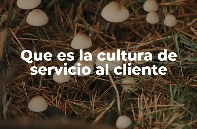 Que es la Cultura de Servicio Al Cliente
