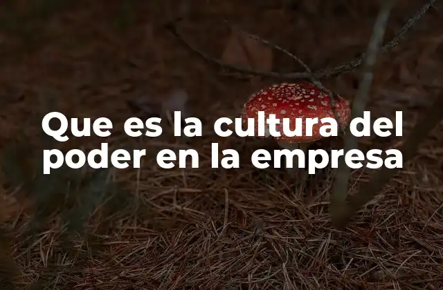 Que es la Cultura Del Poder en la Empresa 2 Dinámicas de poder y su influencia en el entorno laboral