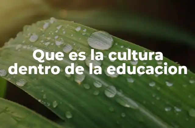 Que es la Cultura Dentro de la Educacion 2 La influencia de la identidad cultural en el aula