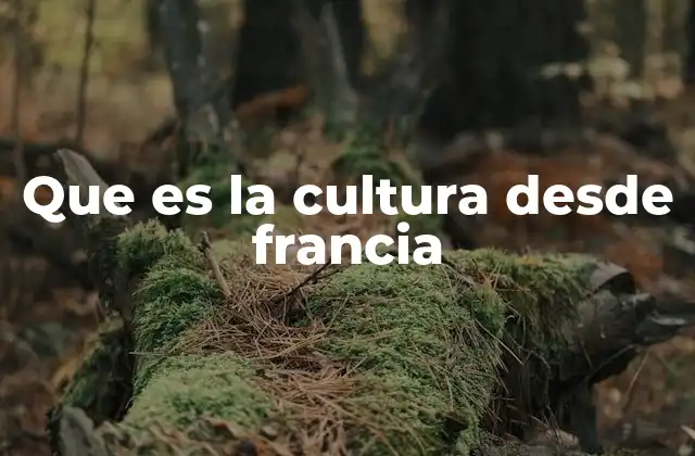 Que es la Cultura desde Francia