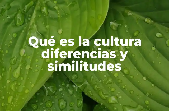 Qué es la Cultura Diferencias y Similitudes