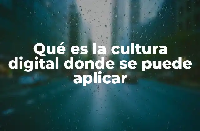 Qué es la Cultura Digital Donde Se Puede Aplicar