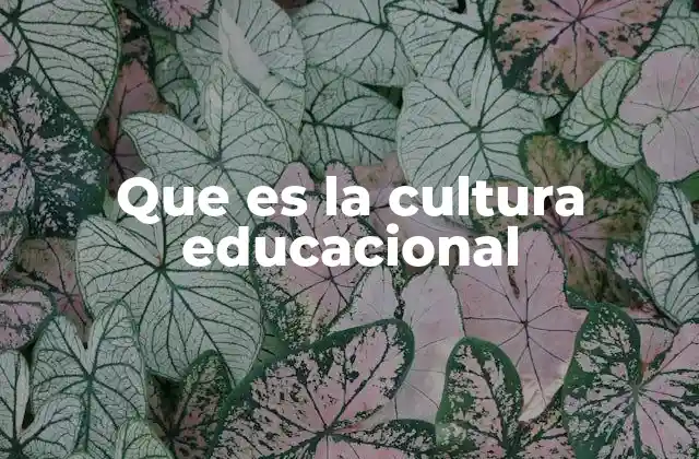 Que es la Cultura Educacional