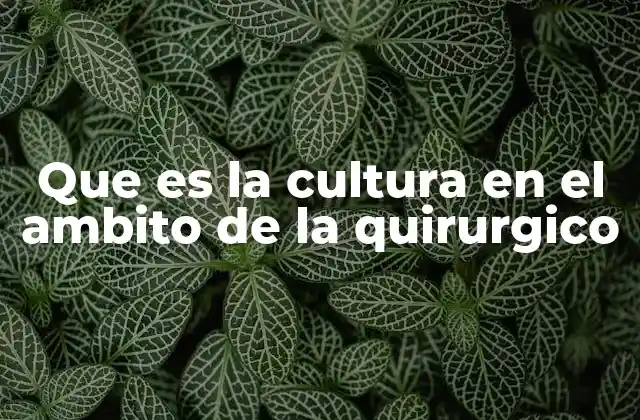 Que es la Cultura en el Ambito de la Quirurgico