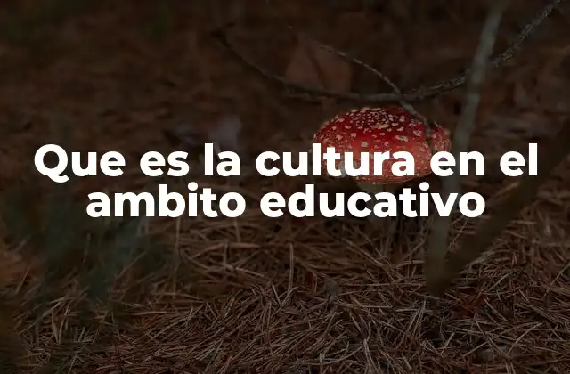Que es la Cultura en el Ambito Educativo