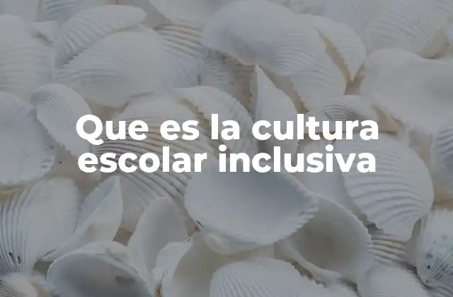 Que es la Cultura Escolar Inclusiva