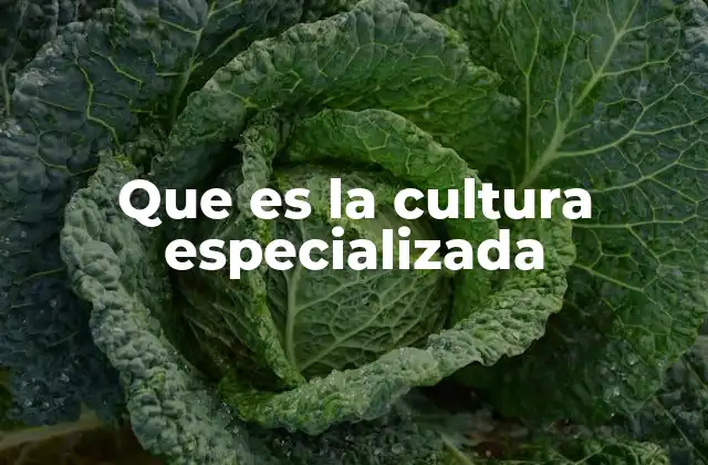 Que es la Cultura Especializada