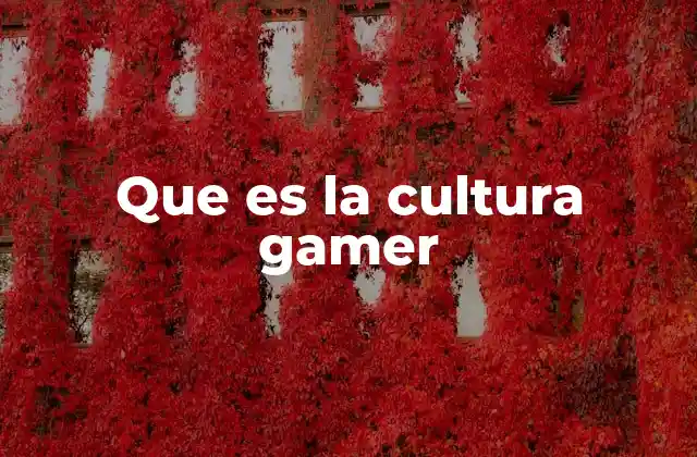 Que es la Cultura Gamer