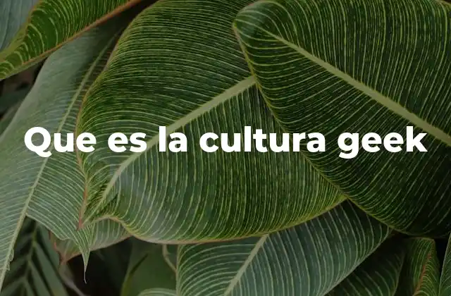 Que es la Cultura Geek