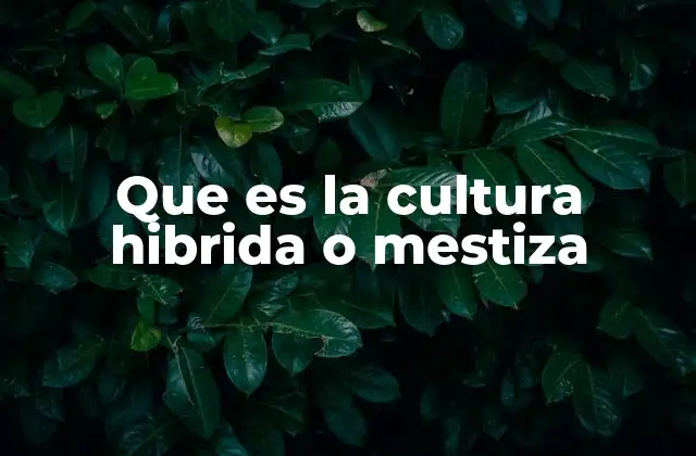 Que es la Cultura Hibrida o Mestiza