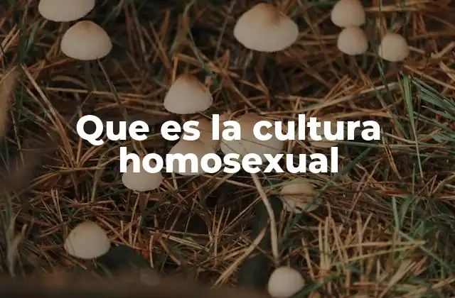 Que es la Cultura Homosexual