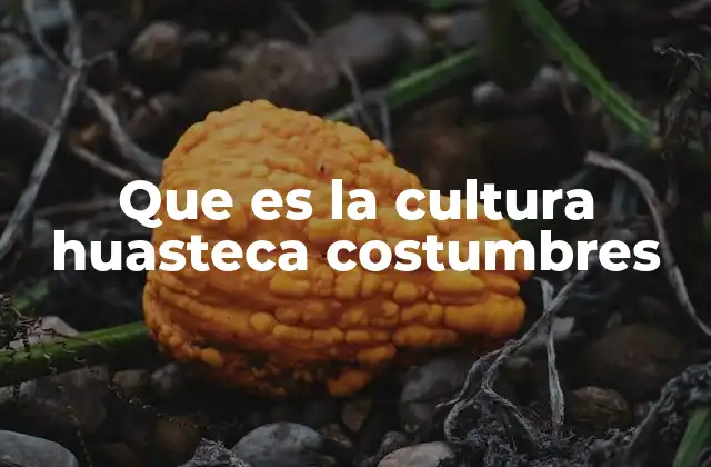 Que es la Cultura Huasteca Costumbres