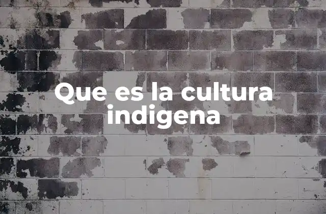 Que es la Cultura Indigena